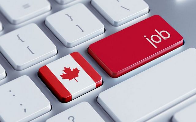 Работа в Канаде: варианты вакансий